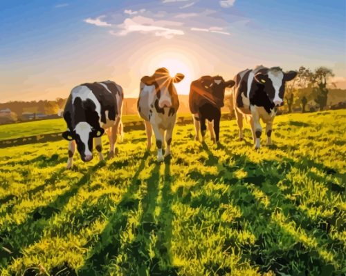 Cows In The Field Paint By Number