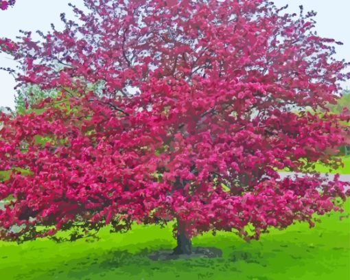 Crabapple Tree Landscape Paint By Number