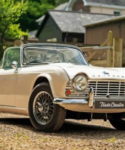 Cream Tr4 Car Paint By Numbers