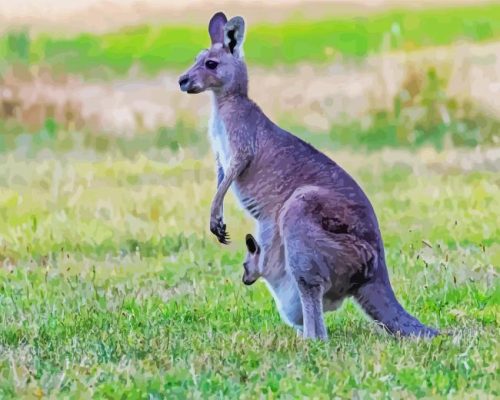 Cute Kangaroo Animal Paint By Number