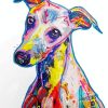 Cute Colorful Greyhound Paint By Number