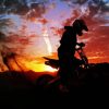 Dirt Biker With Sunset View Paint By Number