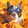 Dog With Sunglasses In Leaves Paint By Number
