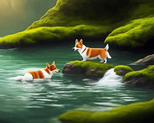 Dogs On A Lake Paint By Numbers