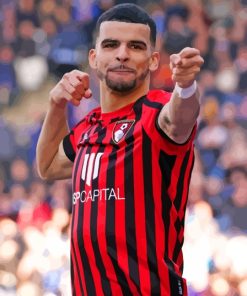 Dominic Solanke Afc Bournemouth Footballer Paint By Number