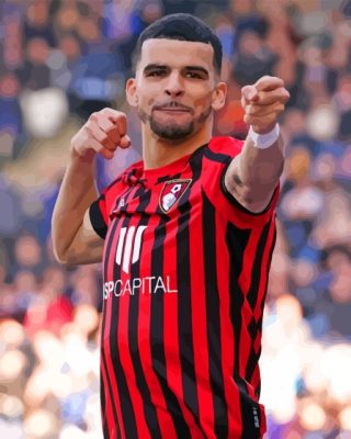 Dominic Solanke Afc Bournemouth Footballer Paint By Number