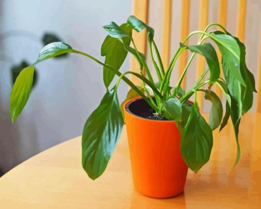 Droopy Plant In Brown Pot Paint By Number