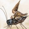 Dwarf Riding Cricket Paint By Numbers