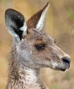 Eastern Grey Kangaroo Head Paint By Numbers