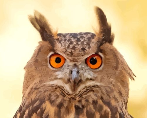 Eurasian Eagle Owl Face Paint By Number