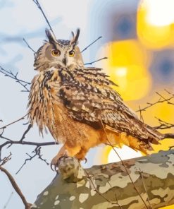 Eurasian Eagle Owl On Tree Paint By Number