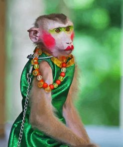 Female Monkey Paint By Number
