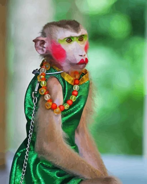 Female Monkey Paint By Number