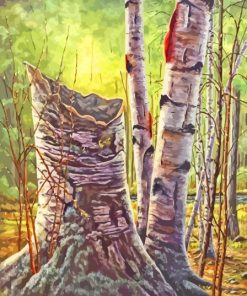 Forest White Birches Paint By Number