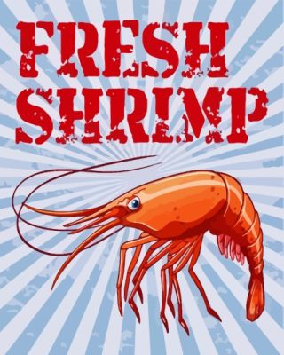 Fresh Shrimp Poster Paint By Number