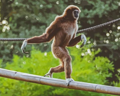 Gibbon Walking On A Branch Paint By Numbers