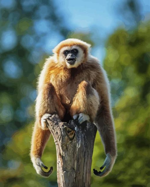 Gibbon On A Tree Paint By Number