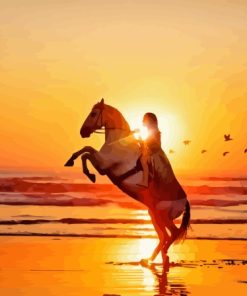 Girl Riding Horse At Beach Sunset Paint By Number