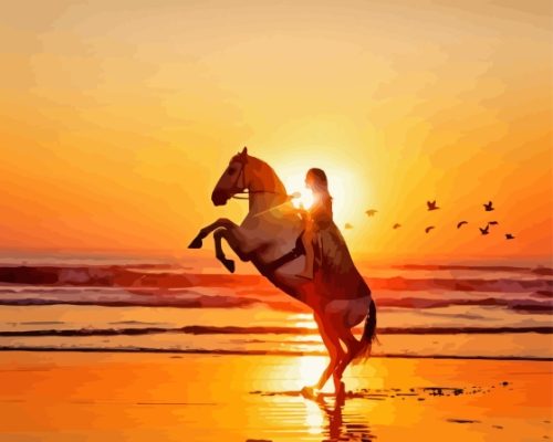 Girl Riding Horse At Beach Sunset Paint By Number