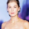 Gorgeous Rosamund Pike Paint By Number