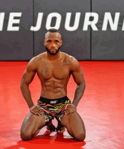 Leon Edwards Martial Artist Paint By Number