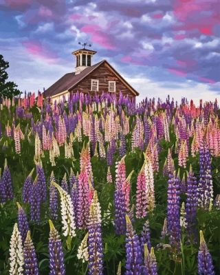 Lupines Flowers Field Paint By Numbers