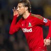 Michu Spanish Footballer Paint By Numbers