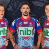 Newcastle Knights Team Paint By Numbers