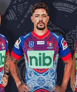 Newcastle Knights Team Paint By Numbers