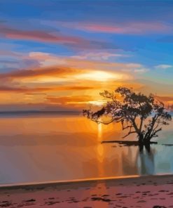Nudgee Beach In Australia Paint By Number