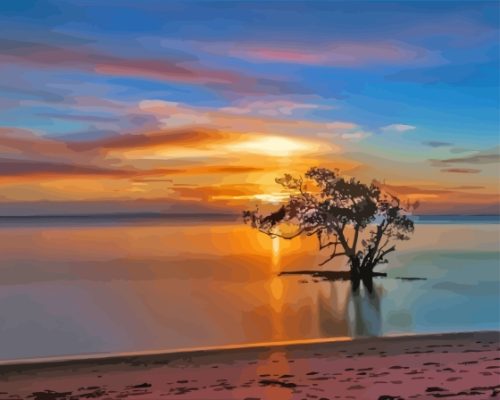 Nudgee Beach In Australia Paint By Number