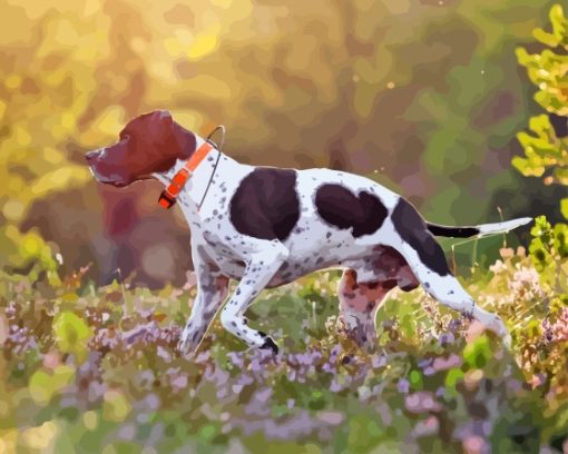 Pointer Hunting Dog Paint By Number