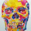 Rainbow Head Skull Paint By Number