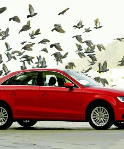 Red Audi A3 And Birds Paint By Number