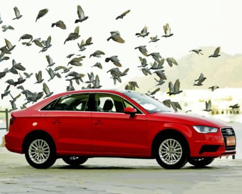 Red Audi A3 And Birds Paint By Number