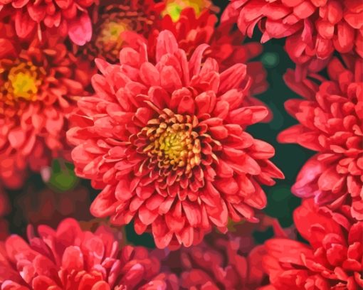 Red Chrysanthemum Paint By Number