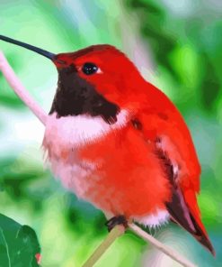 Red Hummingbird Paint By Number