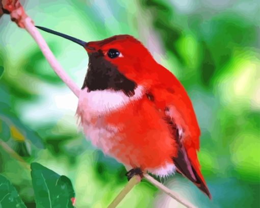 Red Hummingbird Paint By Number