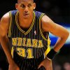 Reggie Miller Paint By Number