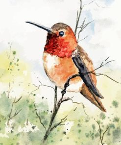 Rufous Hummingbird Arts Paint By Numbers