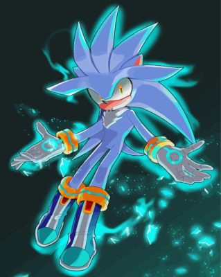 Silver The Hedgehog Paint By Numbers