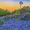 Texas Bluebonnets Field With Windmill Paint By Number