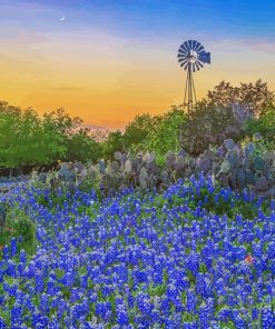 Texas Bluebonnets Field With Windmill Paint By Number