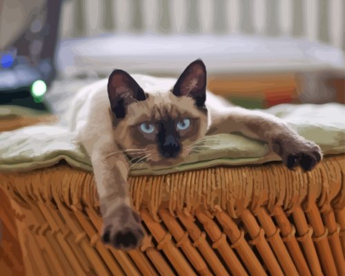 Thai Cat In Basket Paint By Number