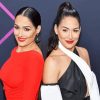 The Bella Twins Paint By Numbers