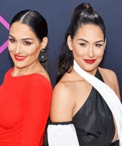 The Bella Twins Paint By Numbers