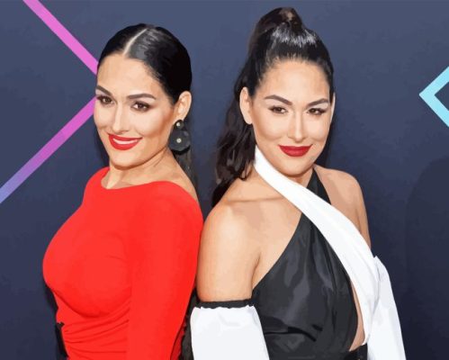 The Bella Twins Paint By Numbers