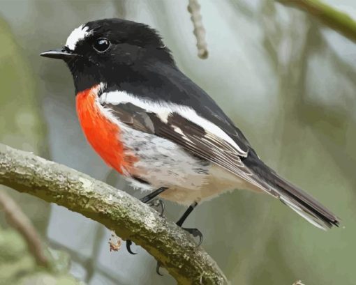 The Scarlet Robin Paint By Numbers