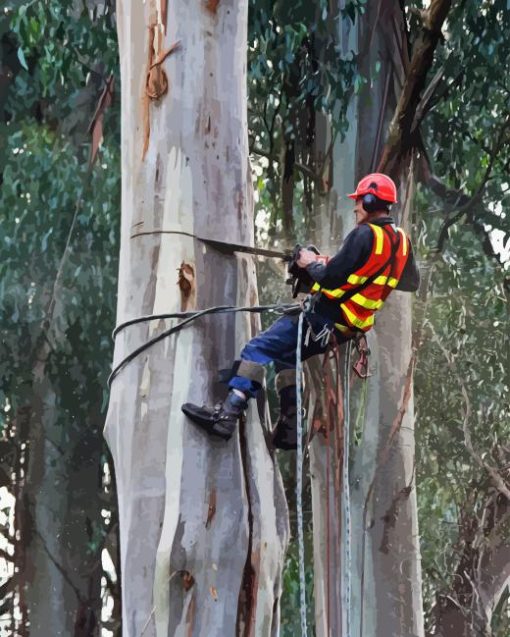 The Arborist Man Paint By Number