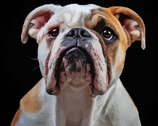 White Old English Bulldog Paint By Number